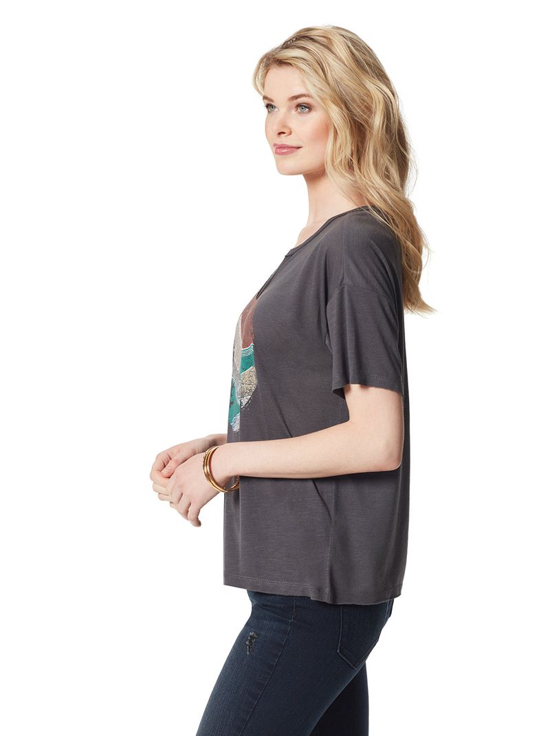 Women's Jessica Simpson Aitana T Shirts Grey | HKXOA-7326